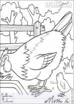 coloriage-poule-3